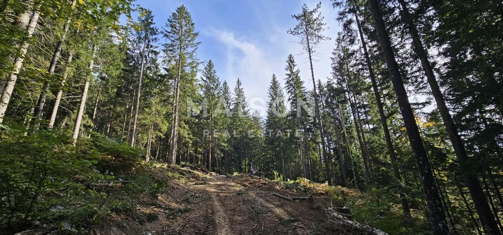 Zemljište Na prodaju - PRIMORSKO-GORANSKA RAVNA GORA