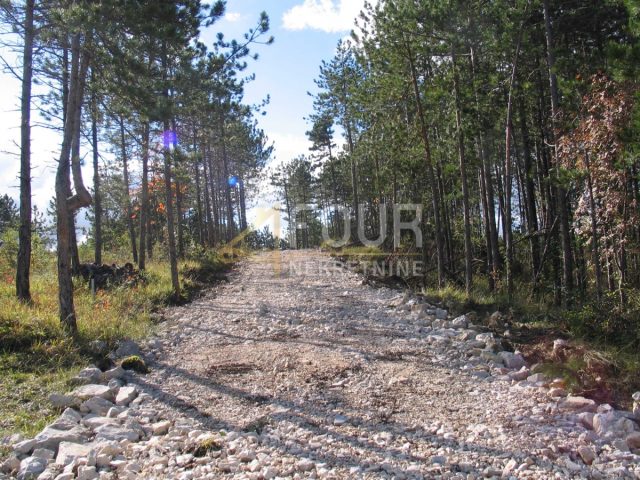 Pozemok na predaj 39091 m² – Pazin