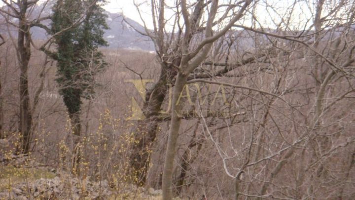 Grundstück Zu verkaufen - Primorsko-goranska Jelenje - foto 2/31