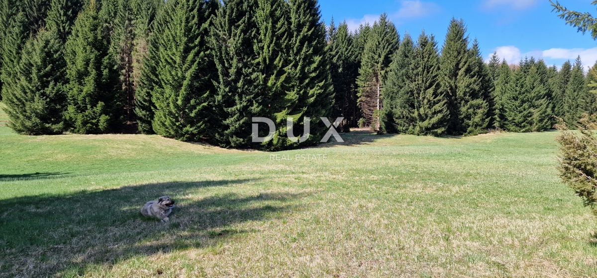 Działka Na sprzedaż - Primorsko-goranska Ravna Gora - foto 5/13