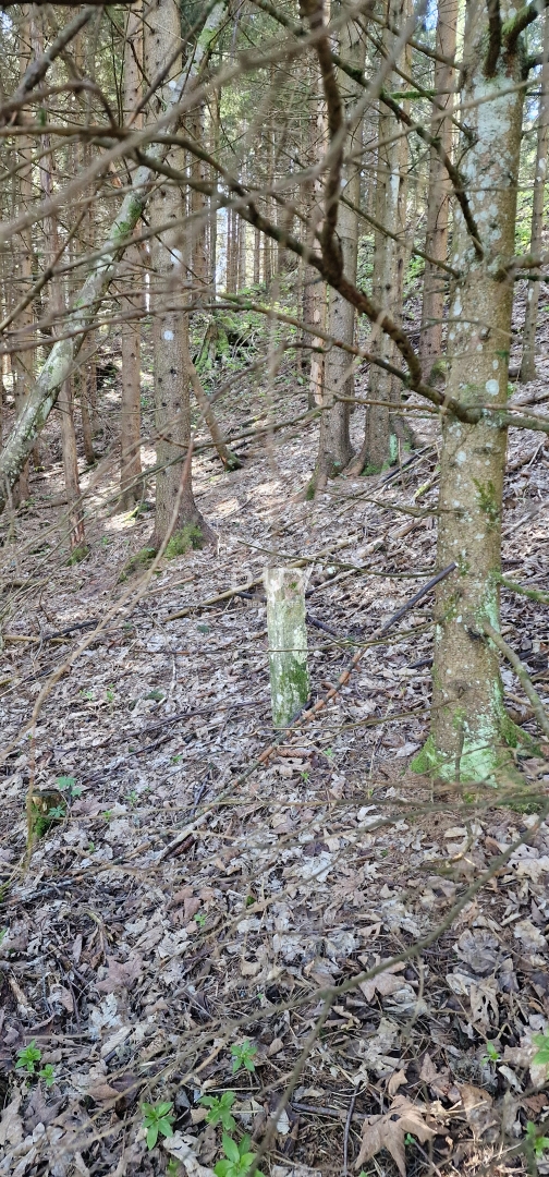 Działka Na sprzedaż - PRIMORSKO-GORANSKA RAVNA GORA