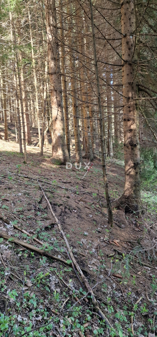Działka Na sprzedaż - PRIMORSKO-GORANSKA RAVNA GORA