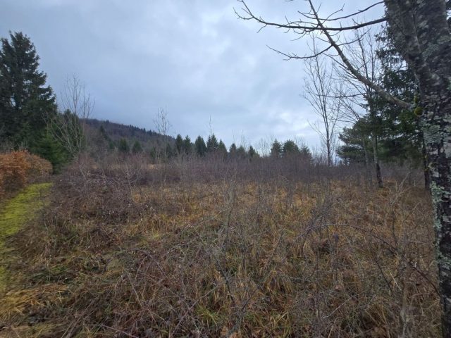 Terrain À vendre - Primorsko-goranska Vrbovsko - foto 3/3