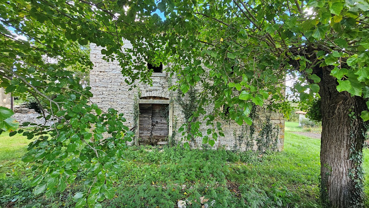 House For sale - Istarska Buje - foto 1/9