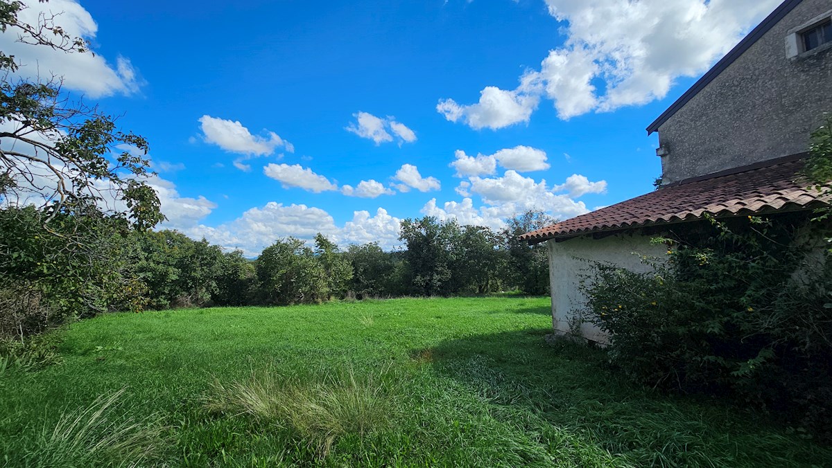 House For sale - ISTARSKA BUJE