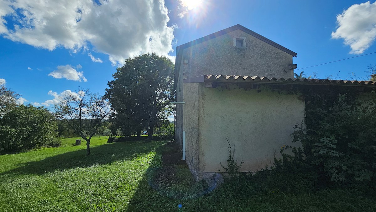 House For sale - ISTARSKA BUJE