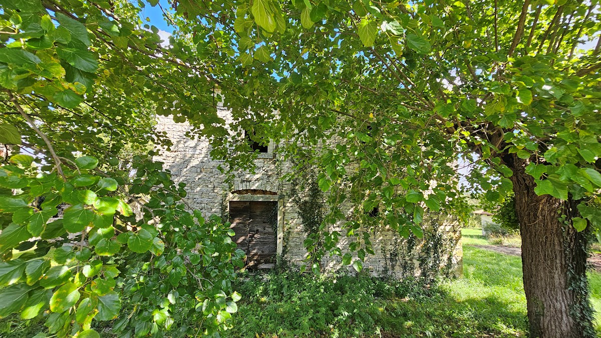 House For sale - ISTARSKA BUJE