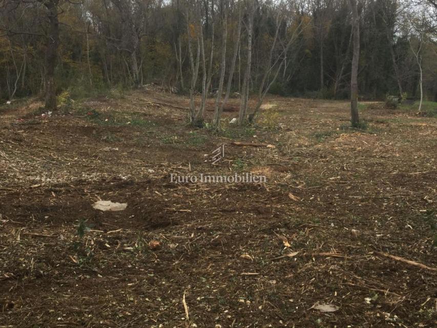 Grundstück Zu verkaufen - Istarska Kršan - foto 3/3