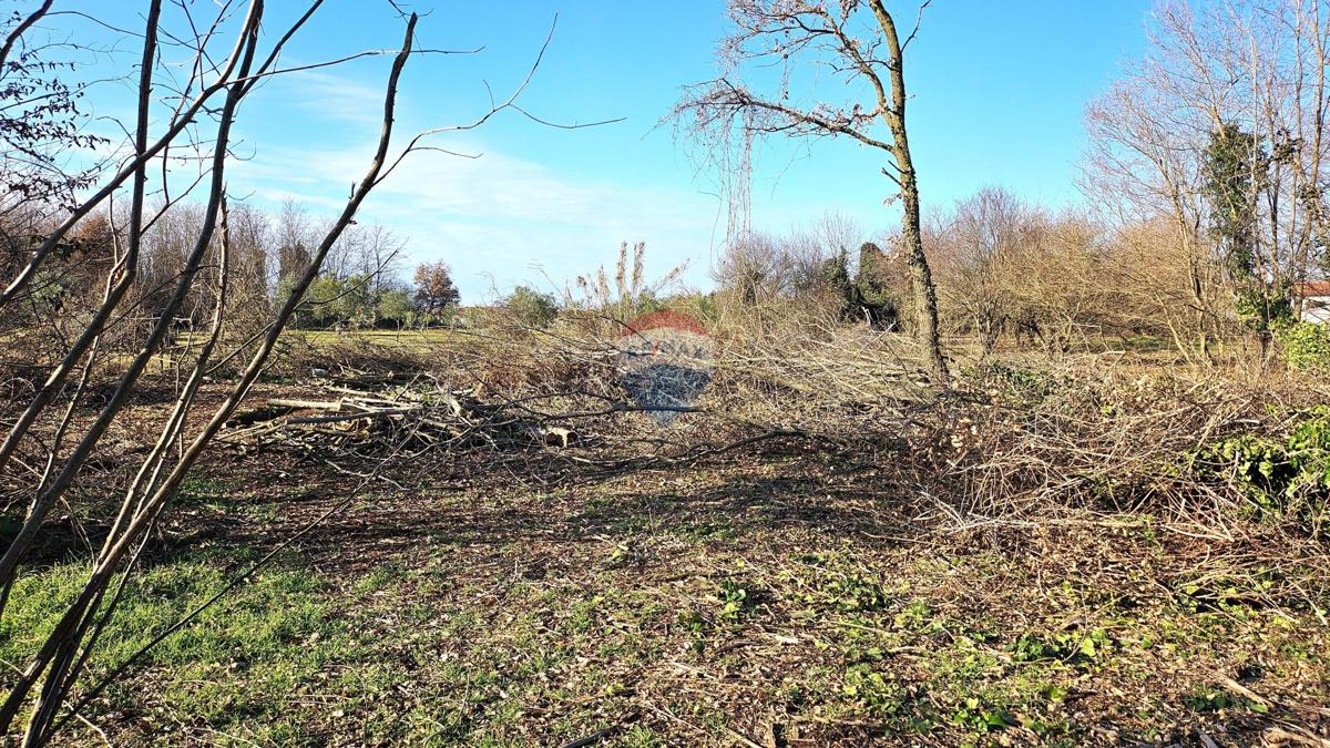Terrain À vendre - Istarska Umag - foto 4/5