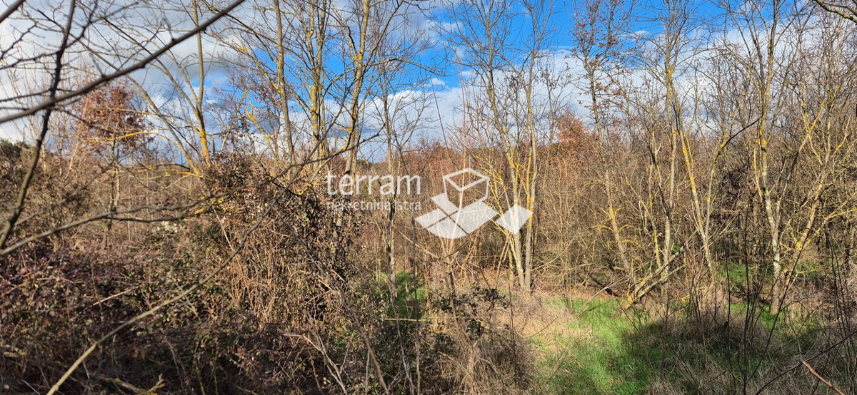 Terreno In vendita - Istarska Rovinj - foto 3/4