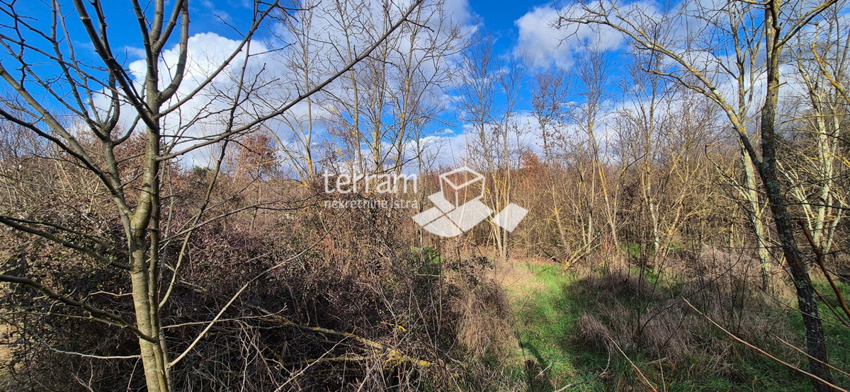 Terreno In vendita - Istarska Rovinj - foto 4/4