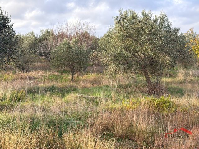 Land For sale - Istarska Vodnjan - foto 3/8