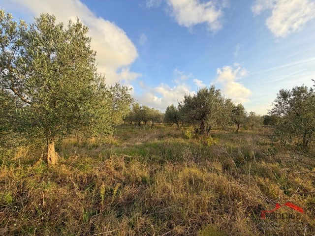 Land For sale - Istarska Vodnjan - foto 5/8