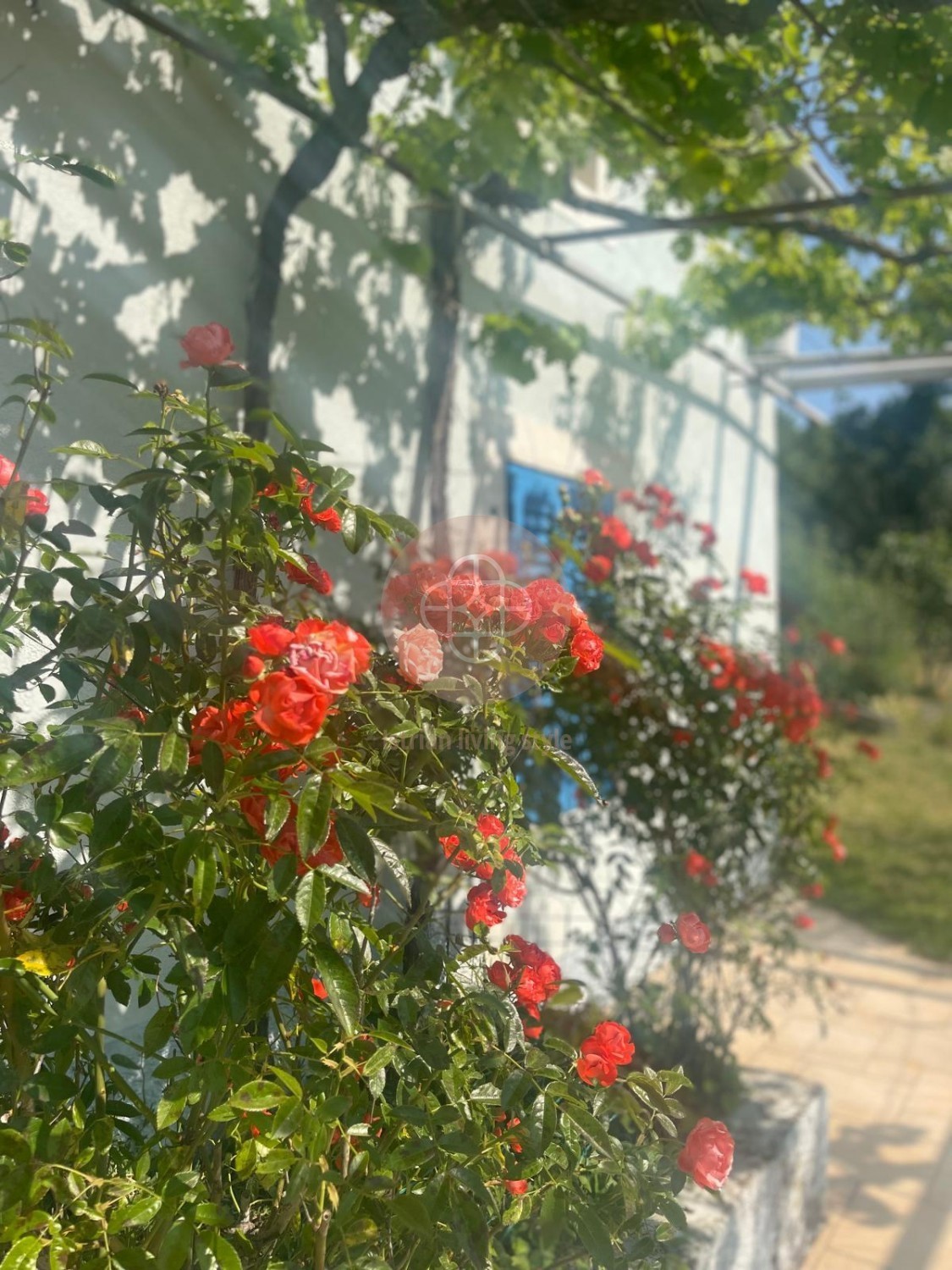 Maison À vendre - ISTARSKA RAŠA