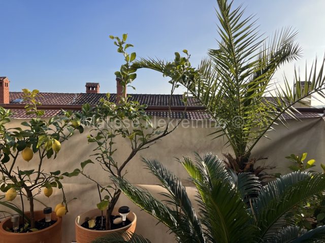 Flat for sale 50 m² – Pula
