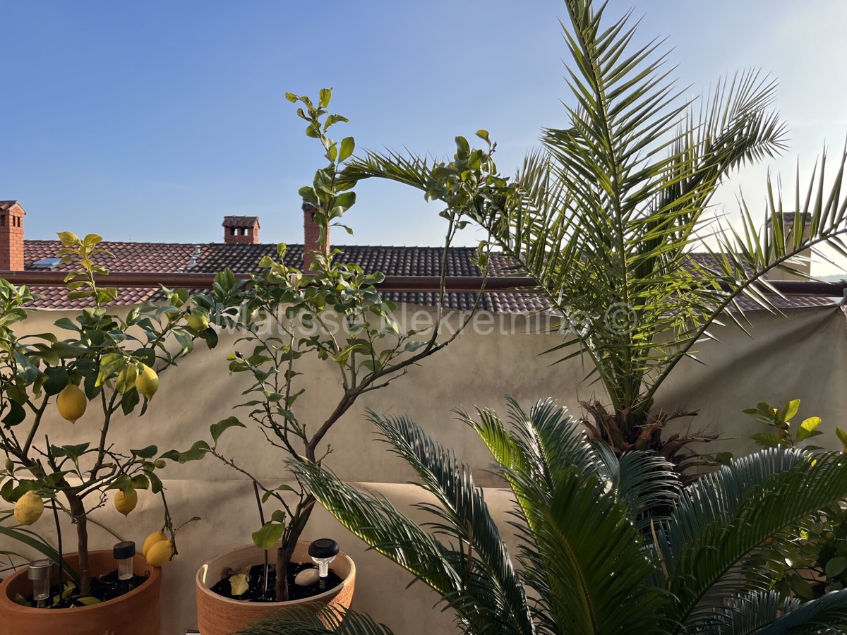 Flat For sale - Istarska Pula - foto 1/17