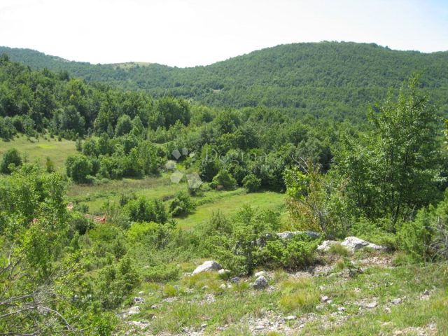 Terrain à vendre 36000 m² – Gračac