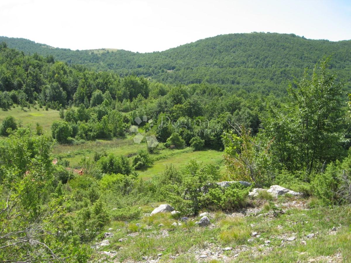 Terrain À vendre - Zadarska Gračac - foto 1/5