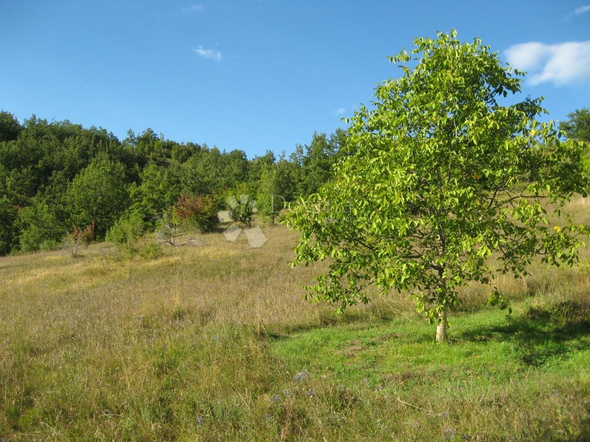Terrain À vendre - Zadarska Gračac - foto 4/5