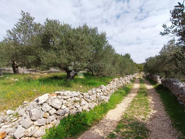 Terrain à vendre 4704 m² – Marina