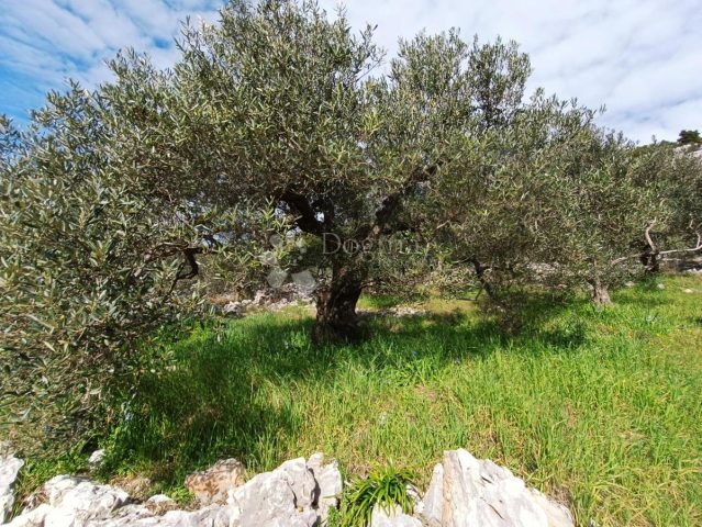 Land For sale - Splitsko-dalmatinska Marina - foto 3/40
