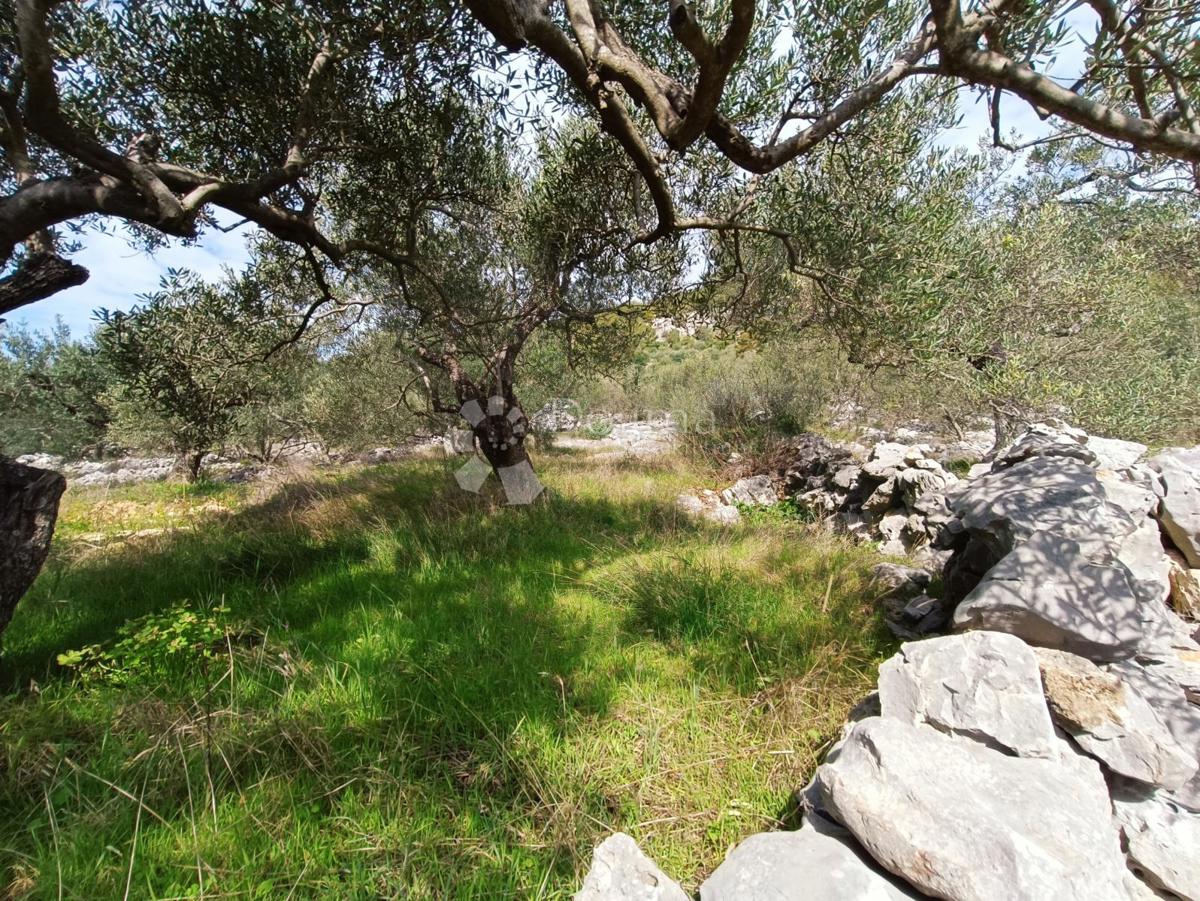Pozemek Na prodej - SPLITSKO-DALMATINSKA MARINA