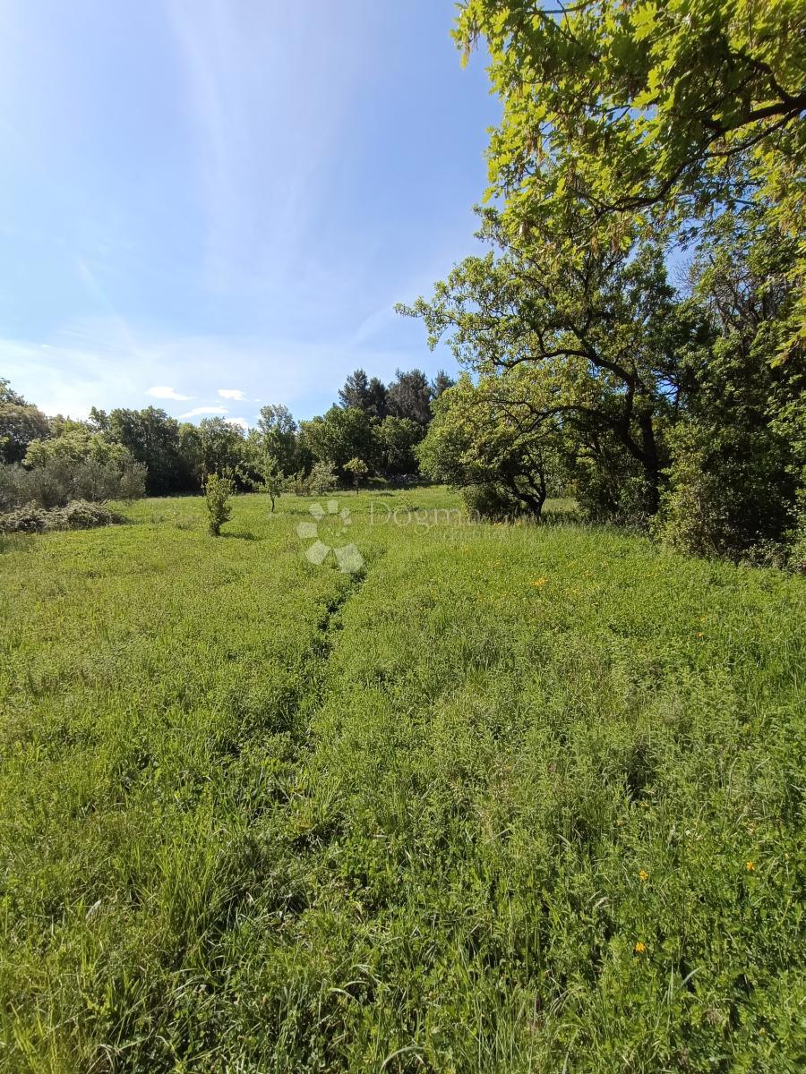 Terrain À vendre - ZADARSKA STARIGRAD