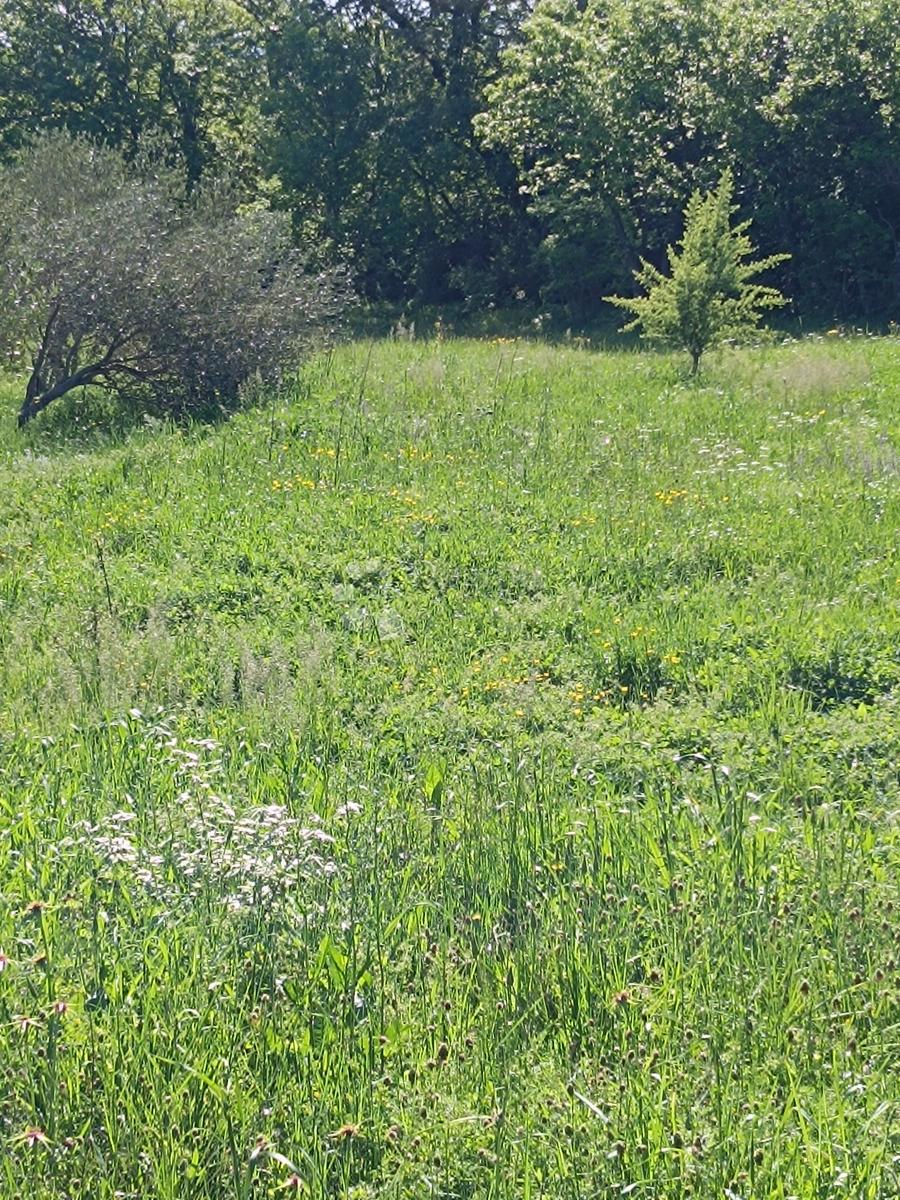 Terrain À vendre - ZADARSKA STARIGRAD
