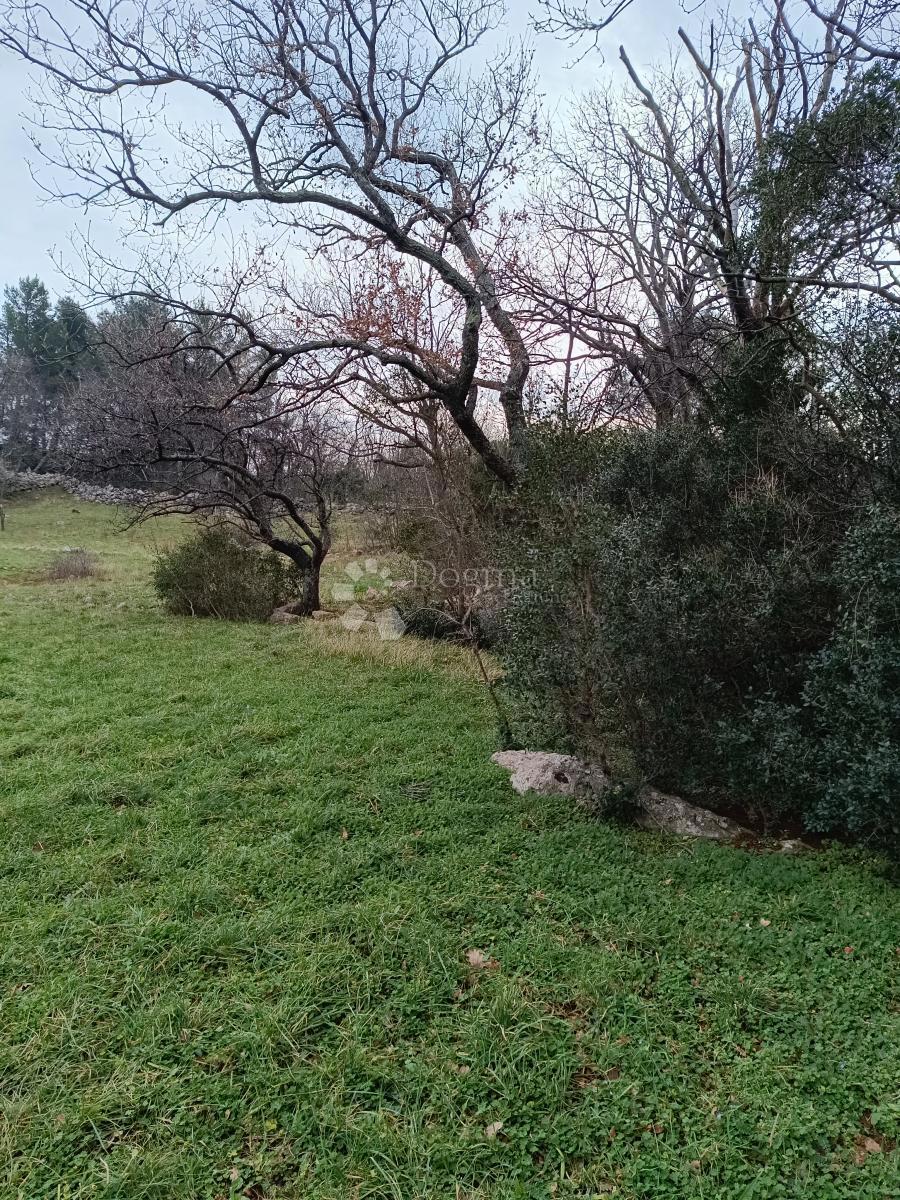 Terrain À vendre - ZADARSKA STARIGRAD