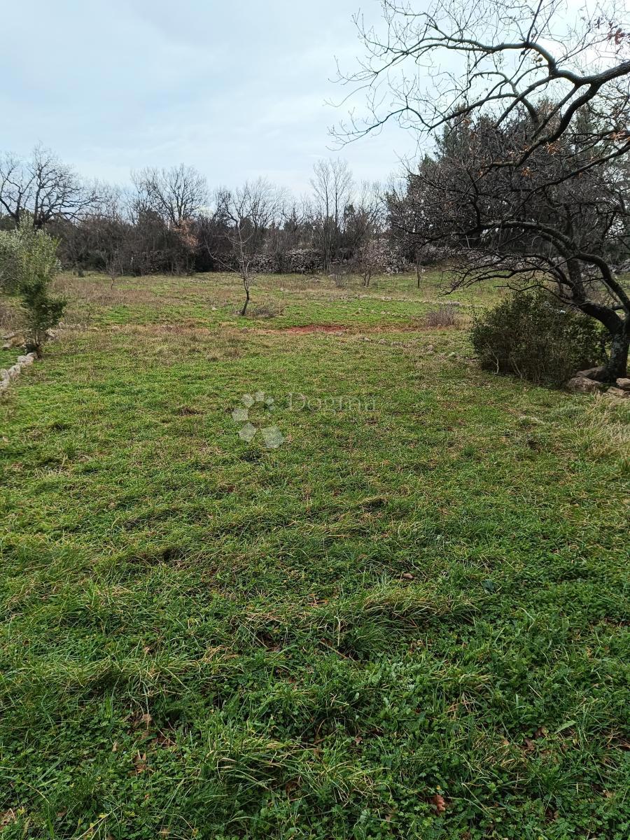 Terrain À vendre - ZADARSKA STARIGRAD