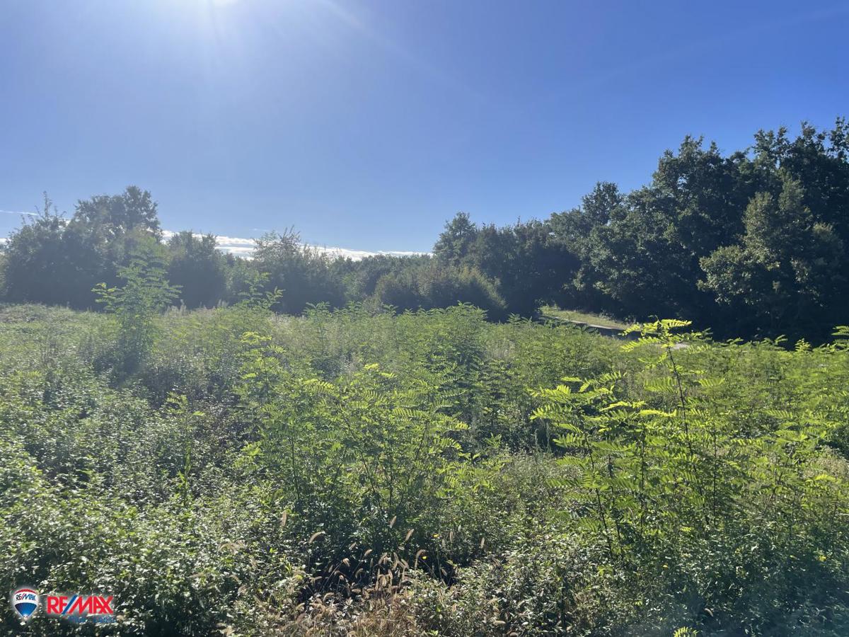 Land For sale - Istarska Labin - foto 2/6