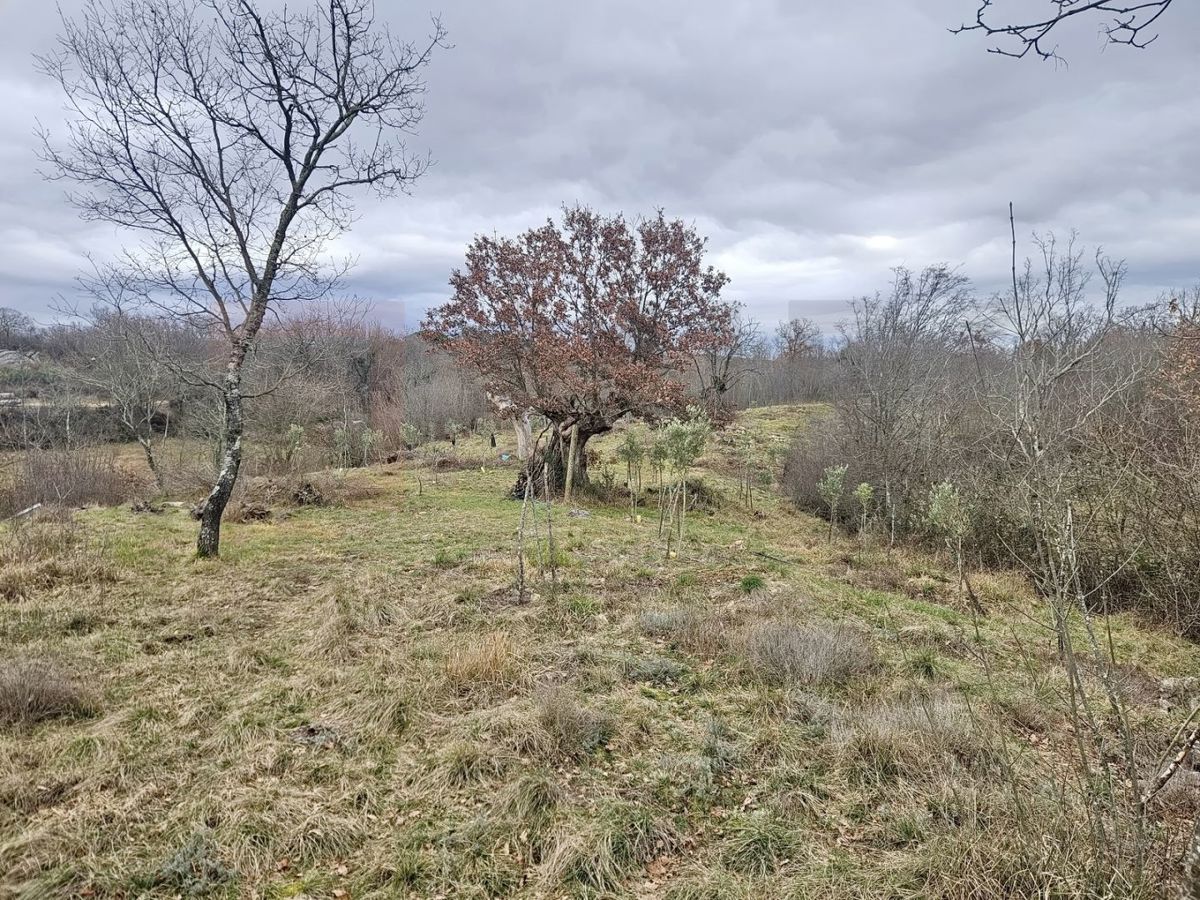 Terrain À vendre - Primorsko-goranska Krk - foto 4/5