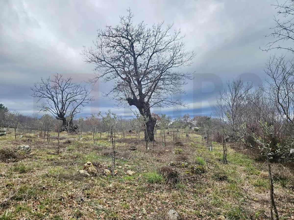 Terrain À vendre - Primorsko-goranska Krk - foto 5/5
