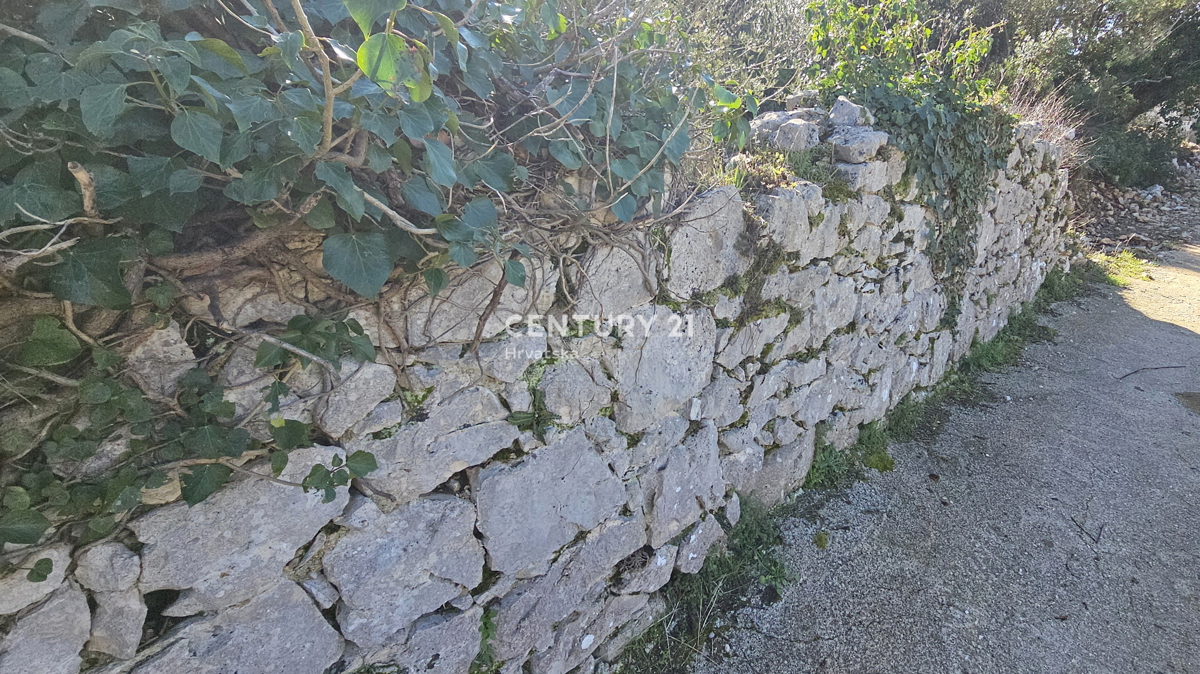 Land For sale - ZADARSKA PAŠMAN