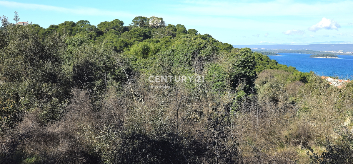 Land For sale - ZADARSKA PAŠMAN