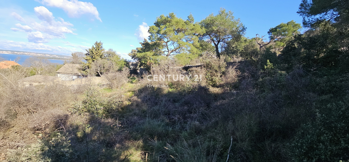 Land For sale - ZADARSKA PAŠMAN