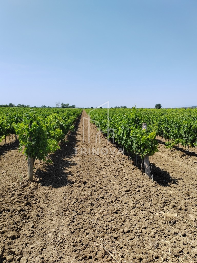 Land For sale - Zadarska Benkovac - foto 1/12
