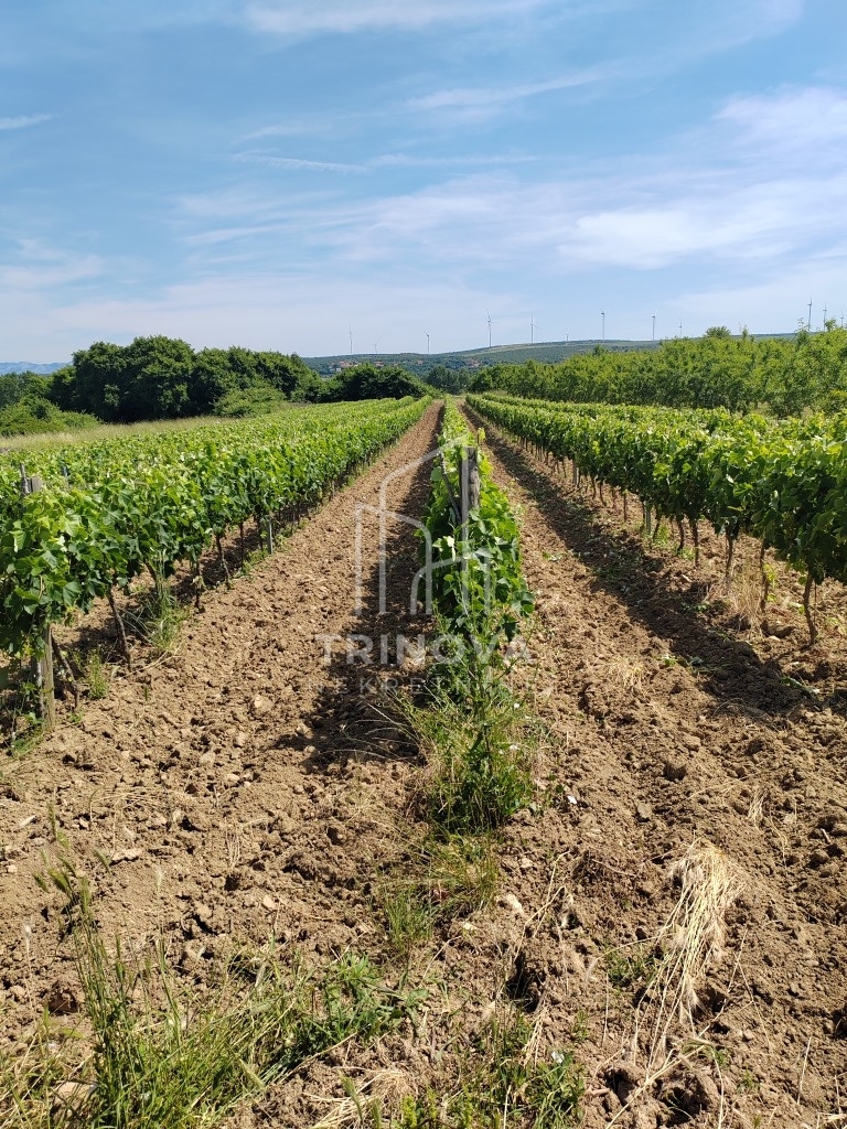 Land For sale - Zadarska Benkovac - foto 2/12