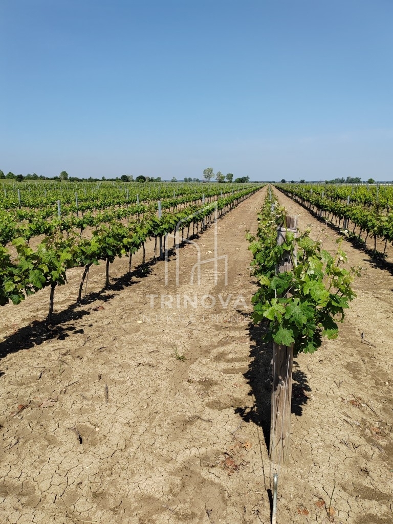 Land For sale - Zadarska Benkovac - foto 3/12