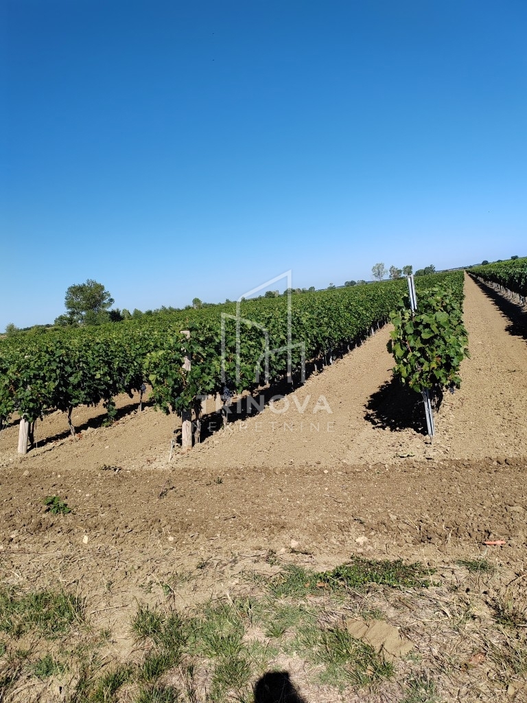 Land For sale - Zadarska Benkovac - foto 4/12