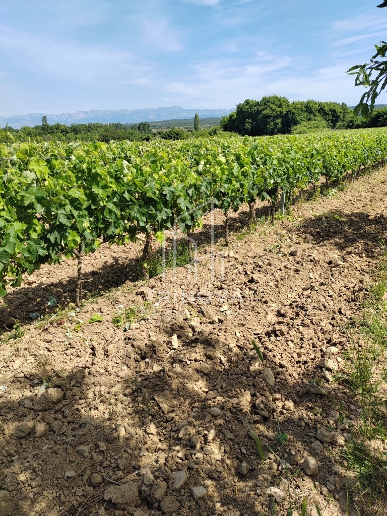 Land For sale - ZADARSKA BENKOVAC