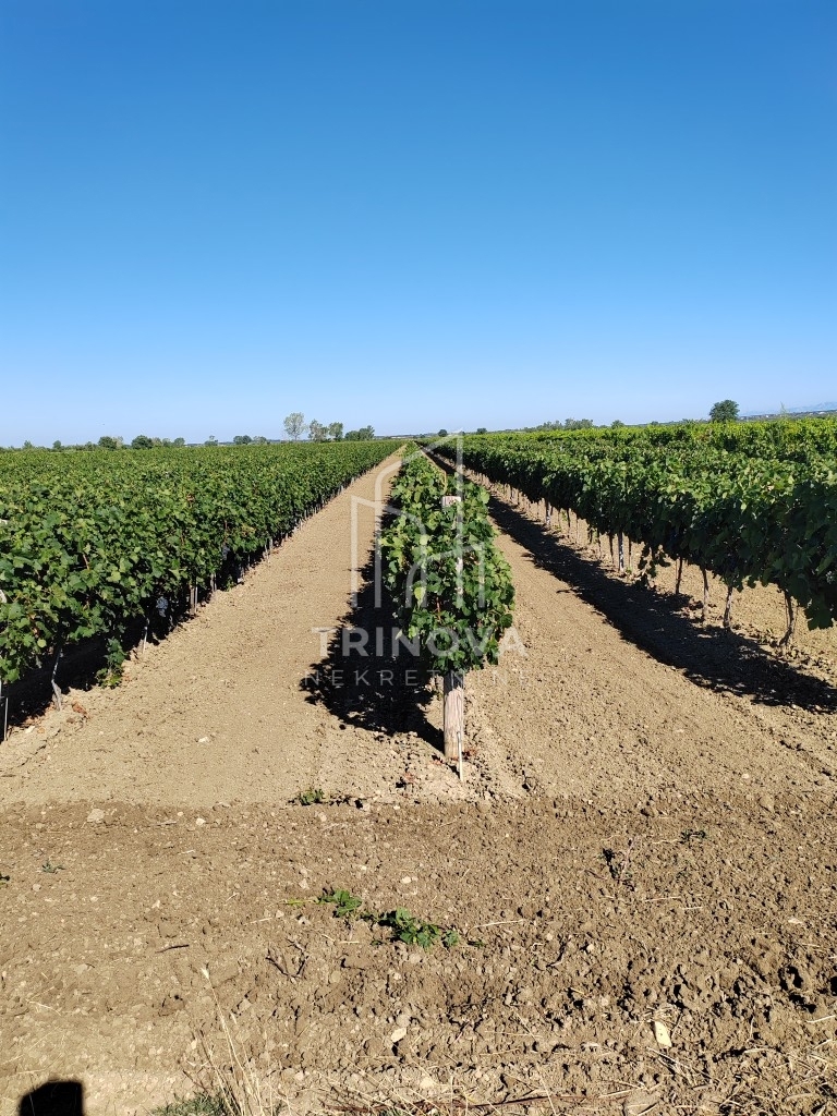 Land For sale - ZADARSKA BENKOVAC