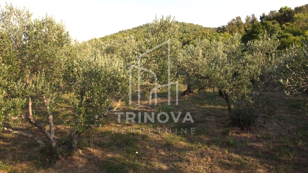 Land For sale - Zadarska Pašman - foto 2/6