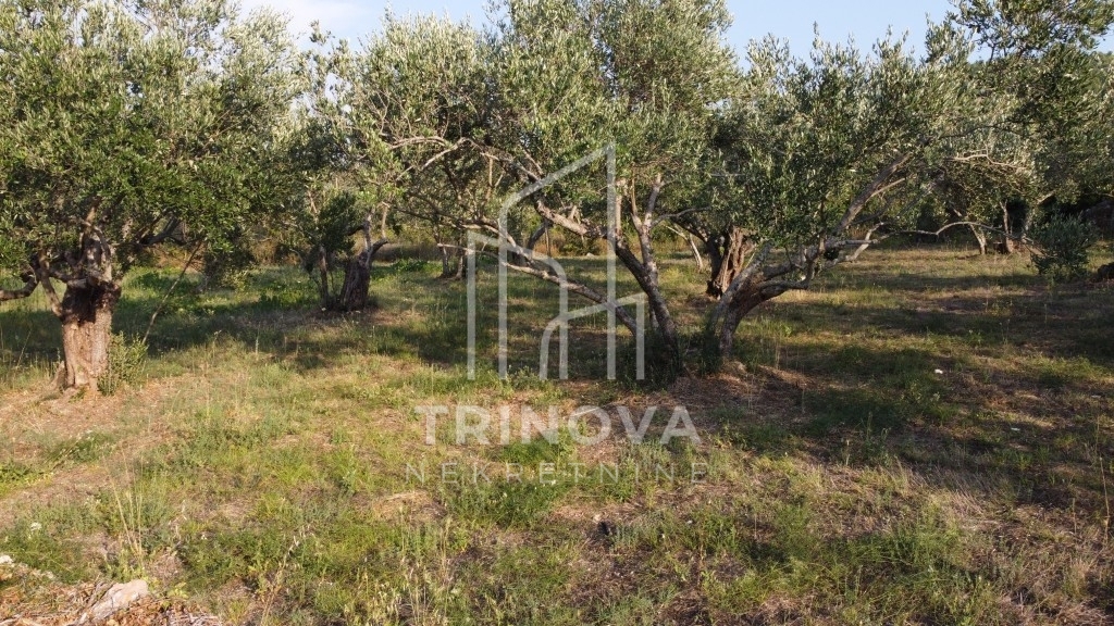 Land For sale - Zadarska Pašman - foto 3/6