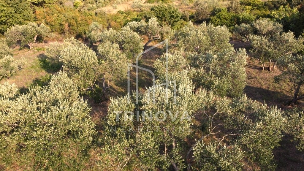 Land For sale - Zadarska Pašman - foto 4/6