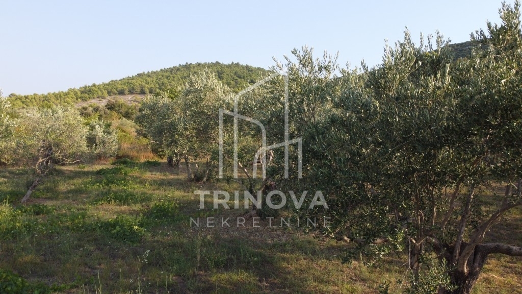 Land For sale - Zadarska Pašman - foto 5/6