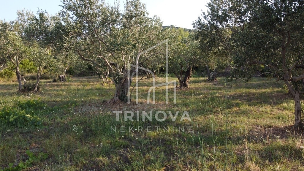 Land For sale - ZADARSKA PAŠMAN
