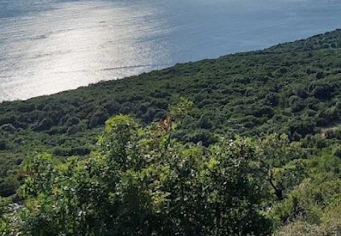 Terreno in vendita 25000 m² – Konavle