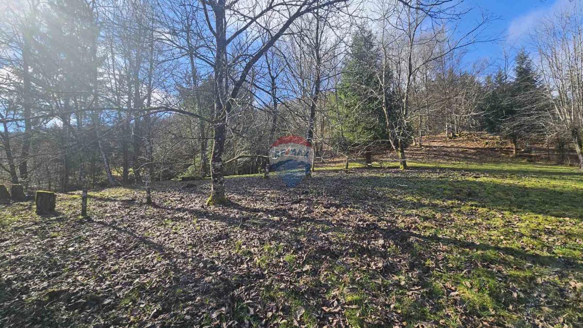 Land For rent - Primorsko-goranska Delnice - foto 4/6