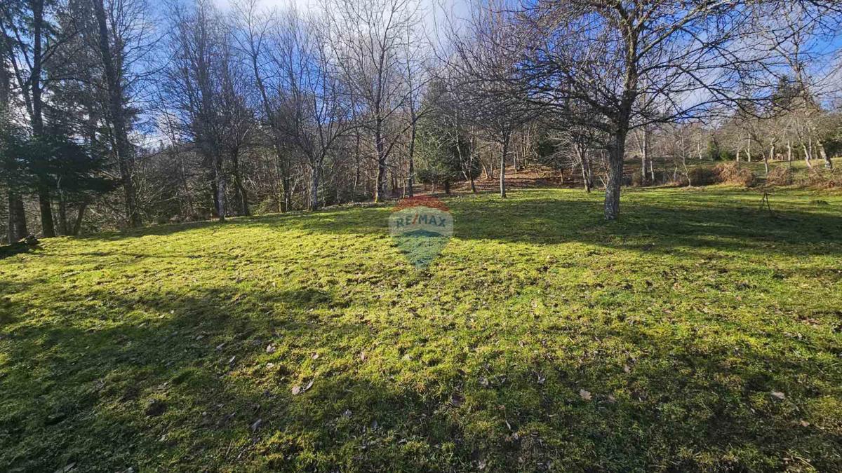 Land For rent - Primorsko-goranska Delnice - foto 5/6